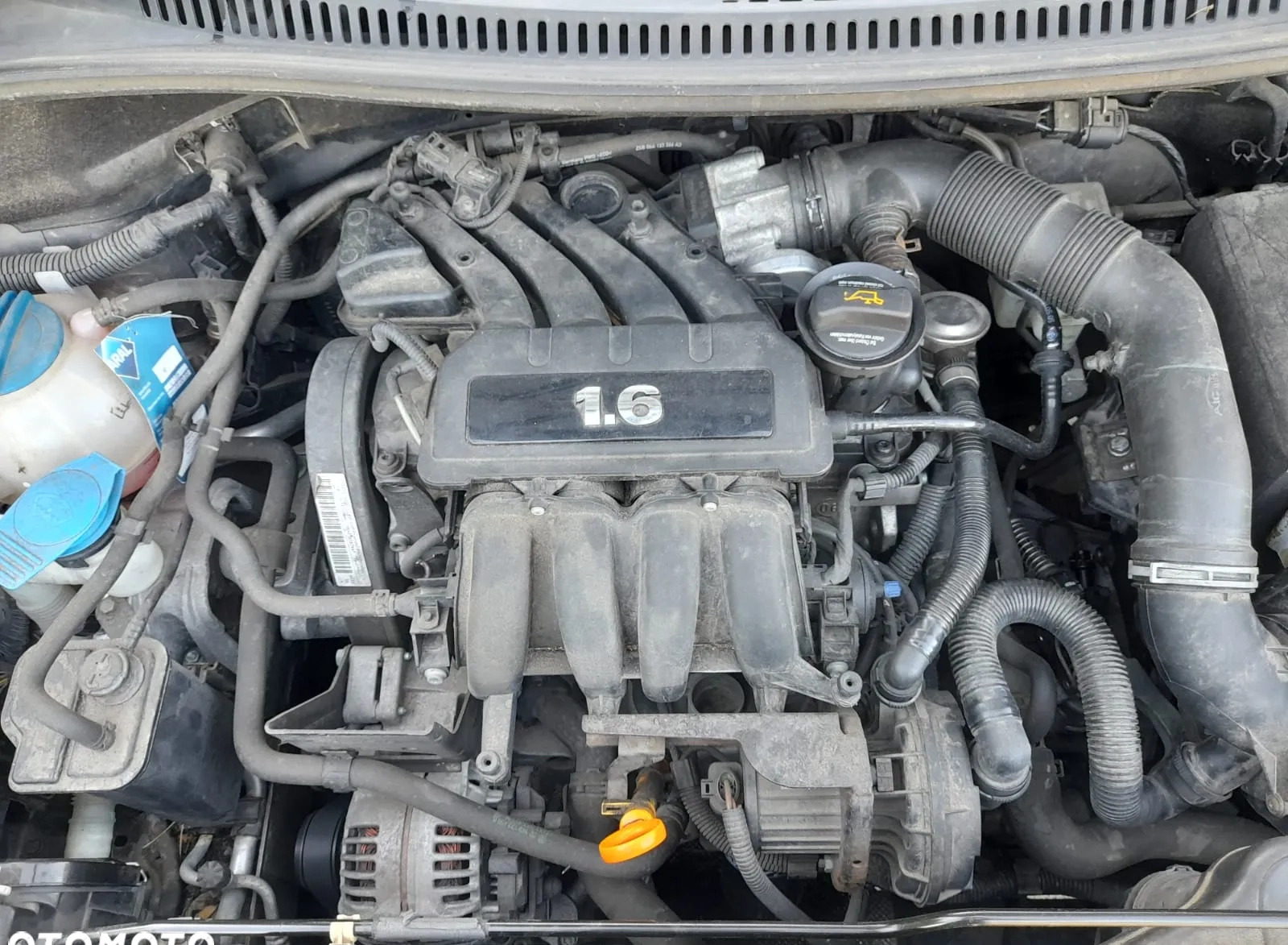 Seat Altea cena 9900 przebieg: 231700, rok produkcji 2005 z Pniewy małe 137